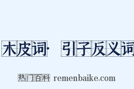 木皮词·引子反义词是什么意思的图片